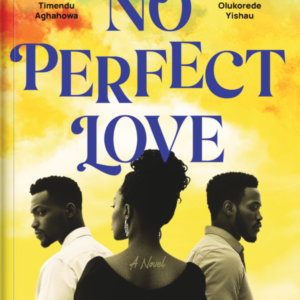 No Perfect Love