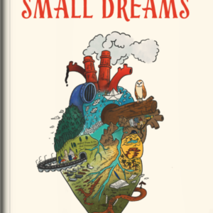 The Mystic of Small Dreams